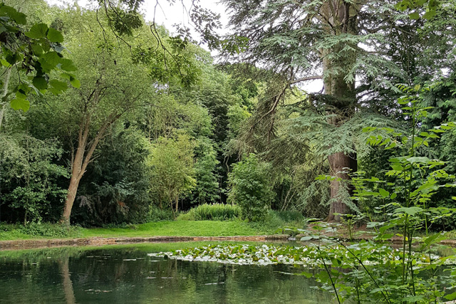 Wychwood Wild Garden: Cotswold Bucket List, The Old Stocks Inn